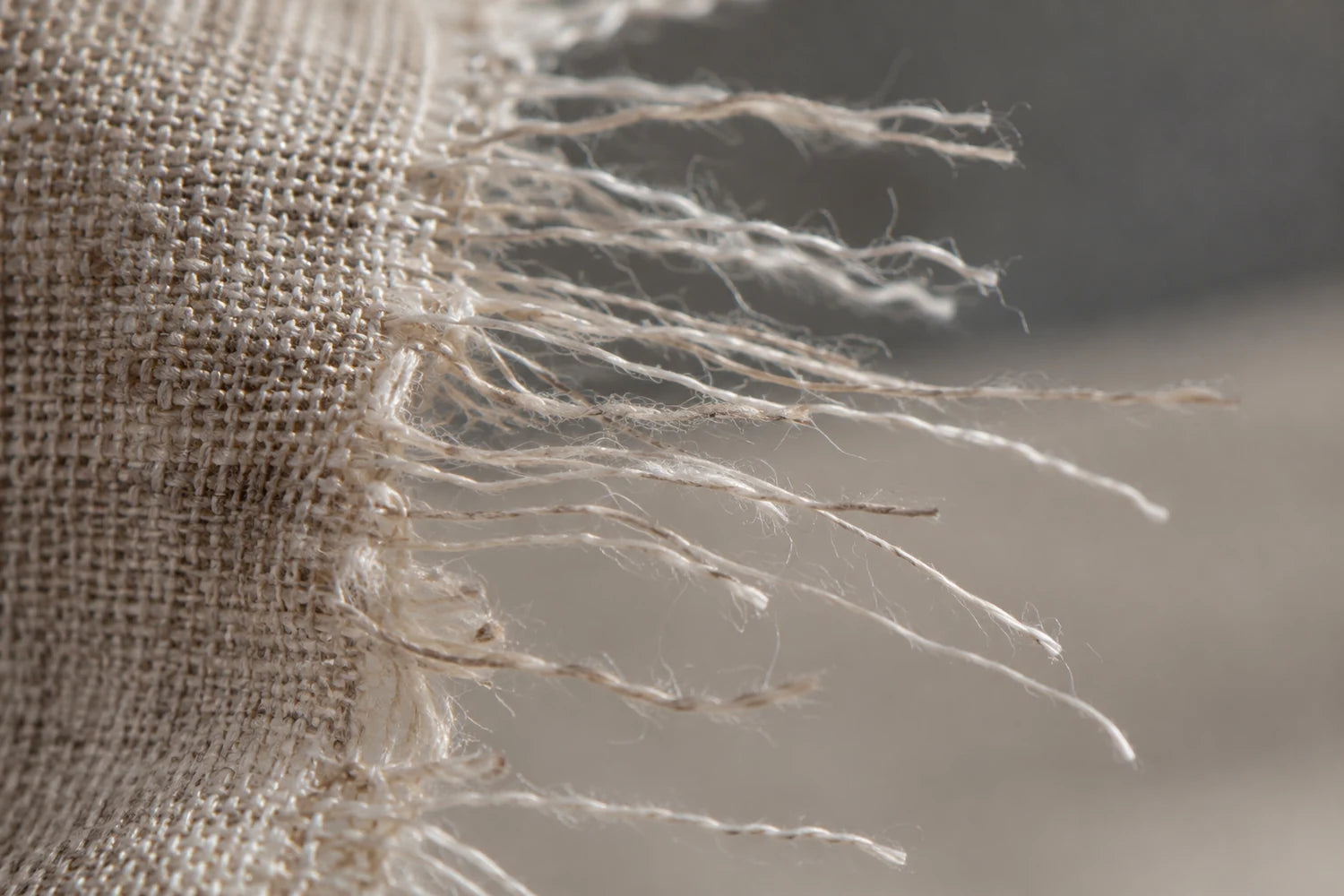 Fibre di lino lungo un bordo sfrangiato